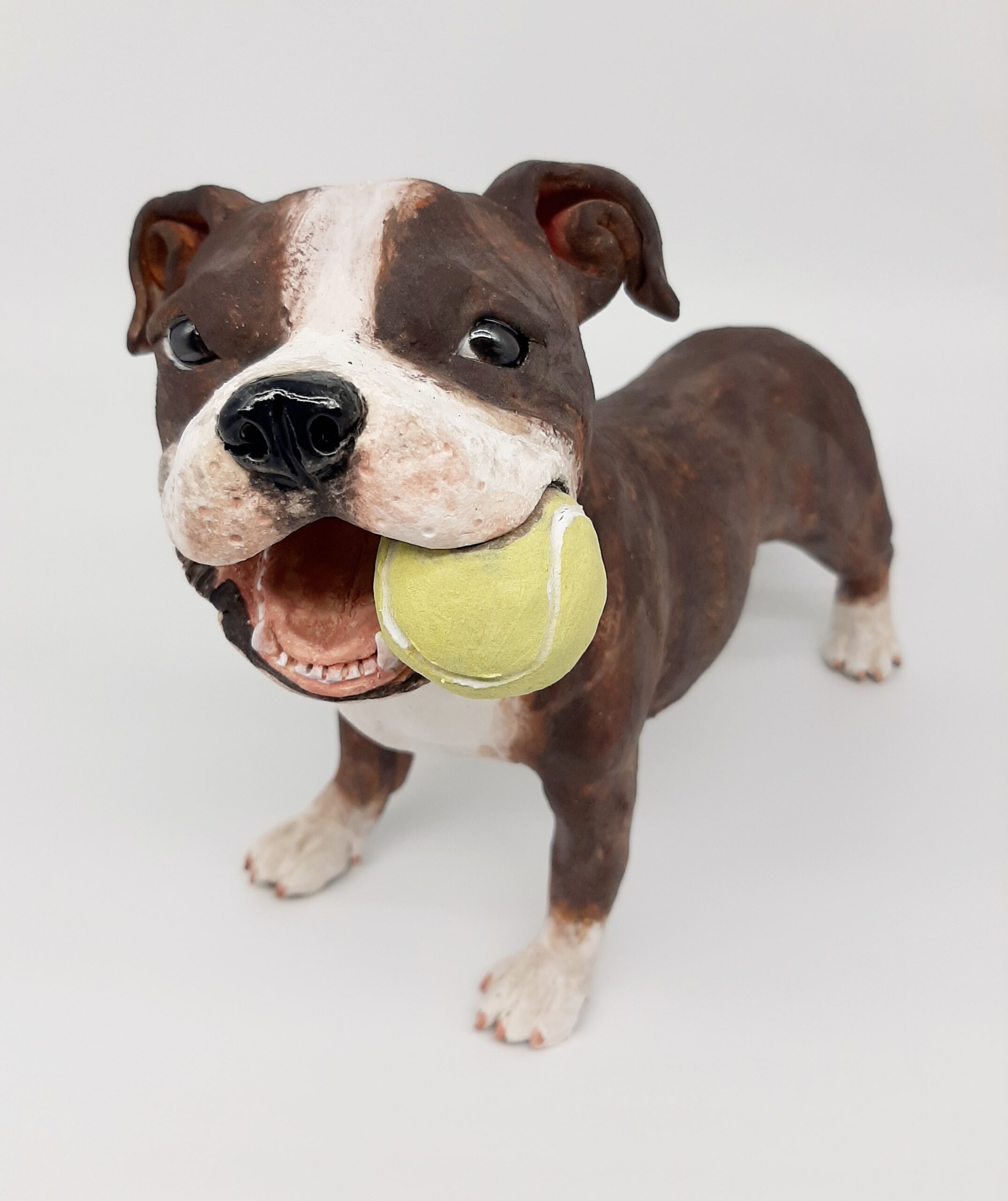 Staffy and Ball
