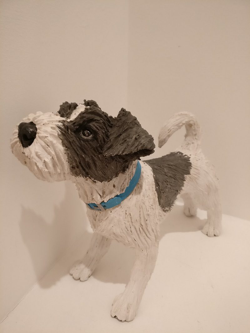 Grey and White Scruffy Mutt (with blue collar)