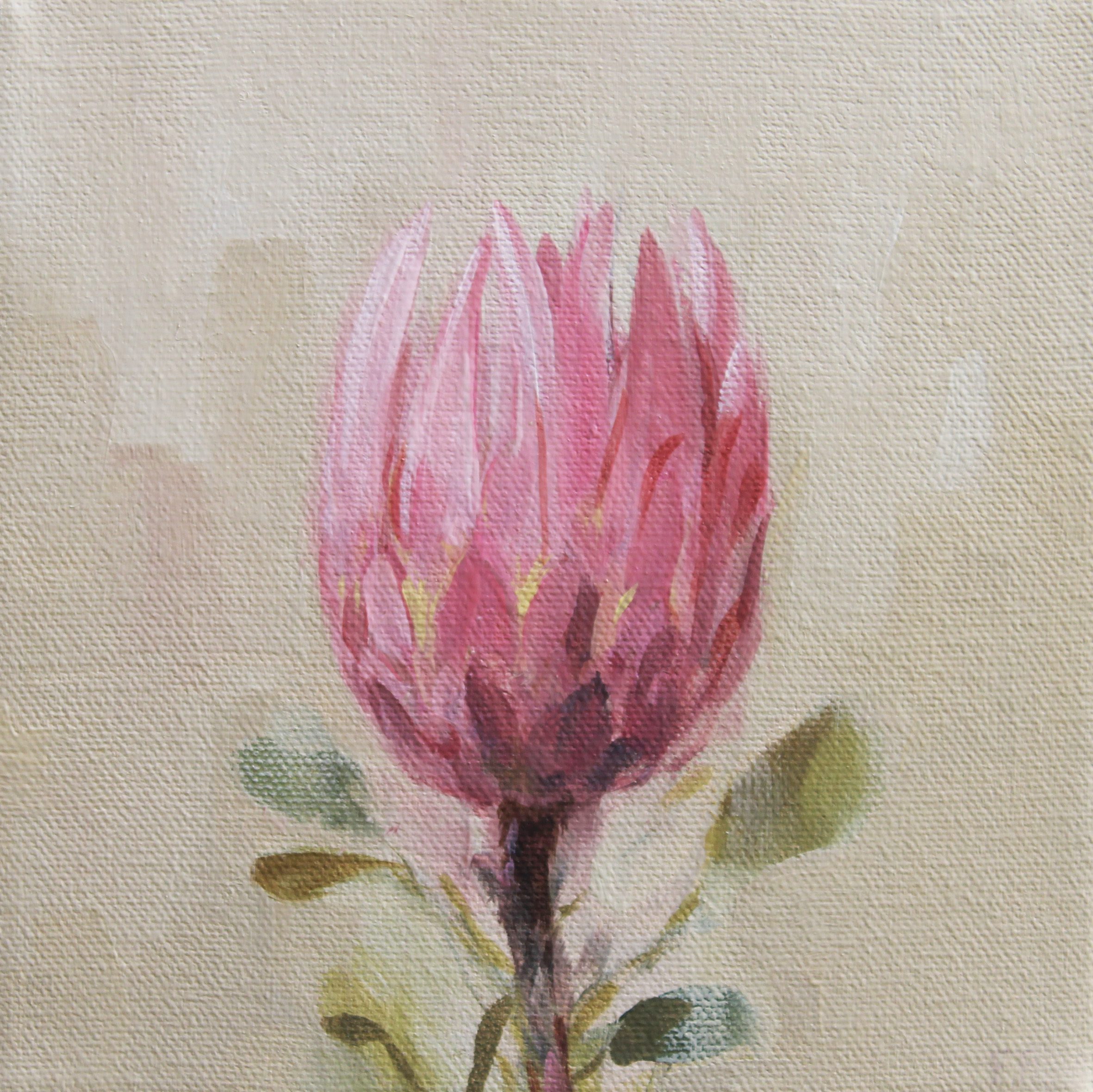Protea Flower Two