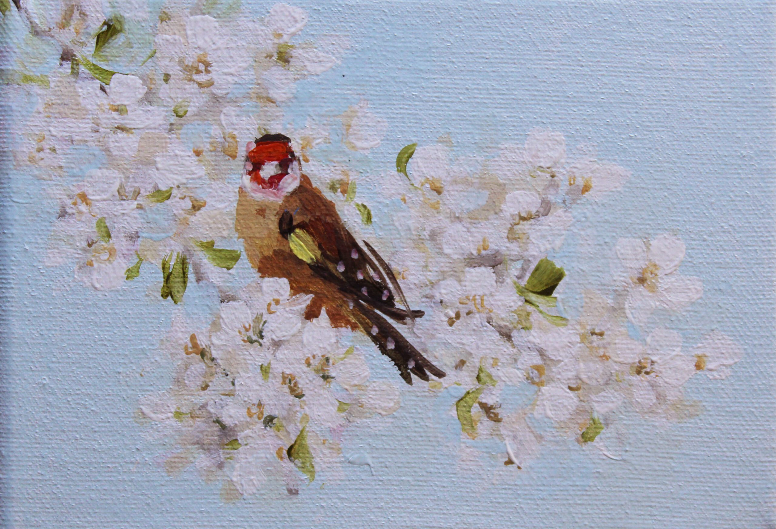 Goldfinch with Blossom