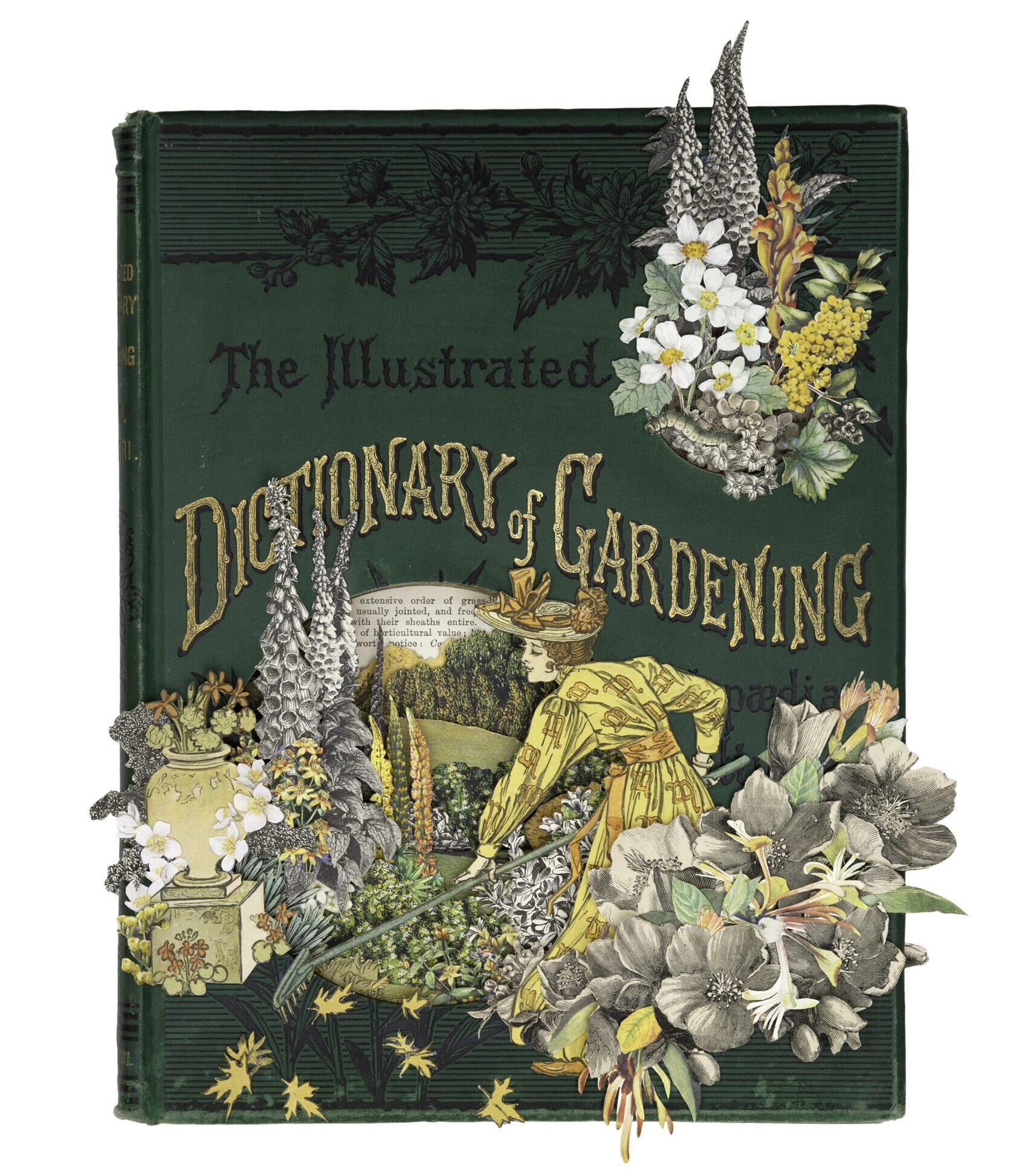 The Encyclopaedia of Gardening