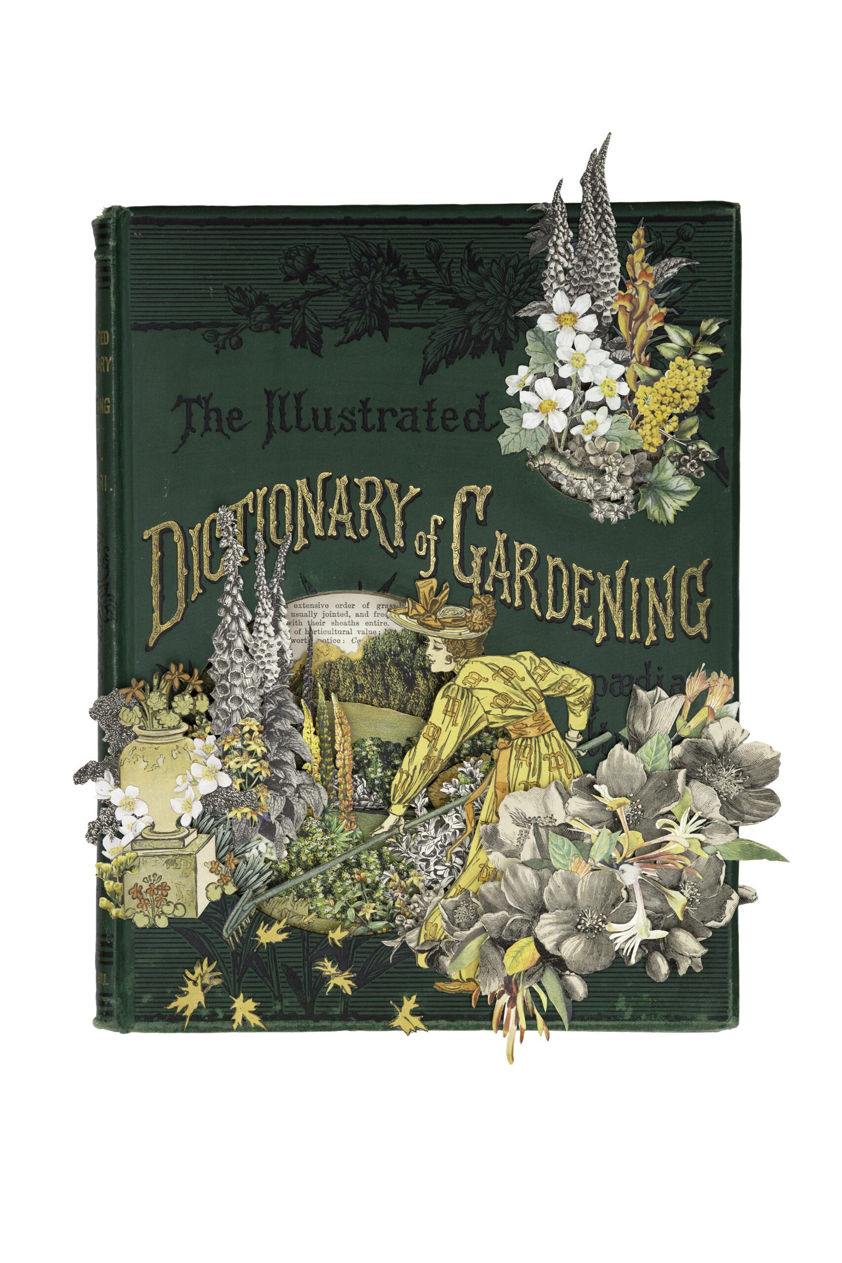 The Encyclopaedia of Gardening