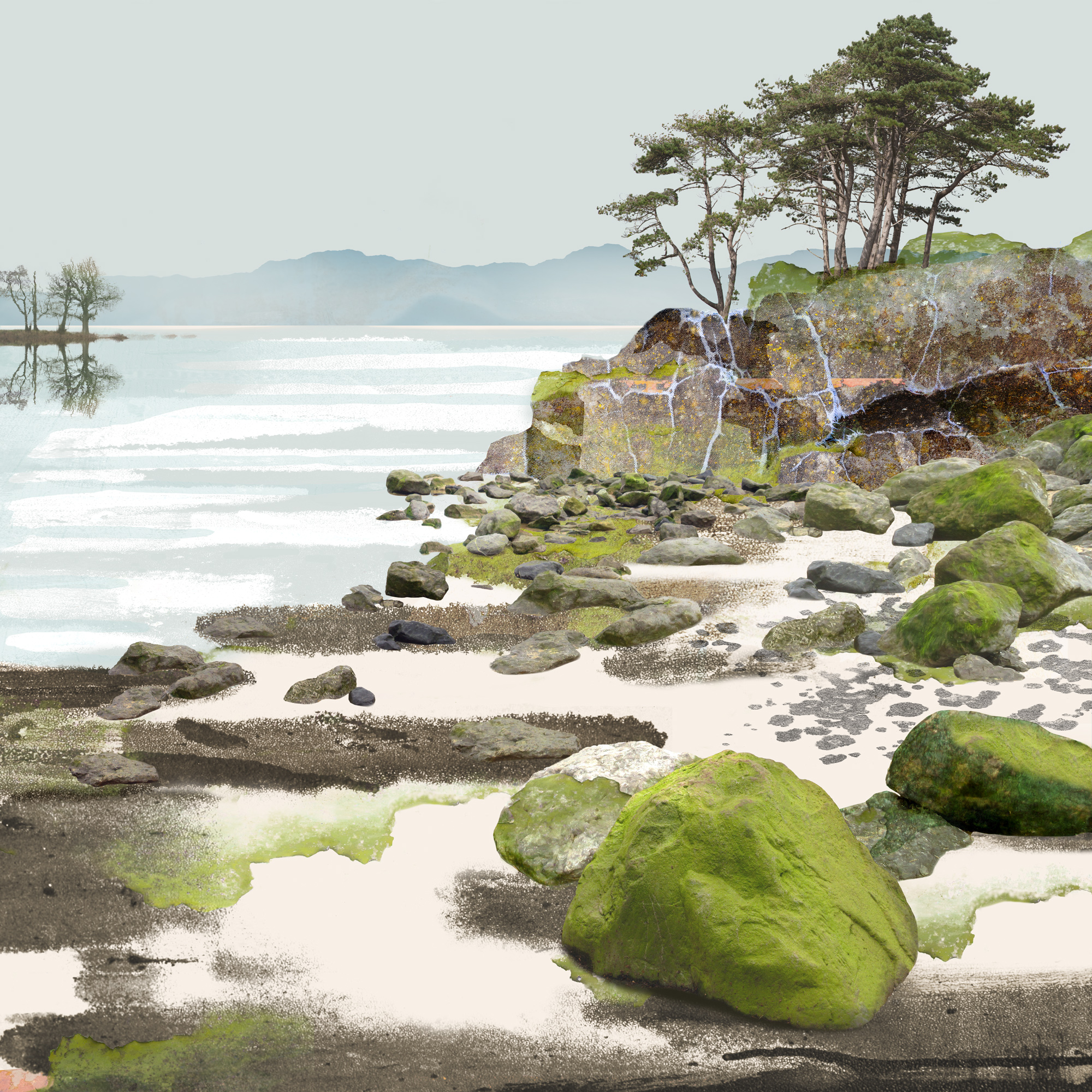 Treescape 12, The Velvet Shore