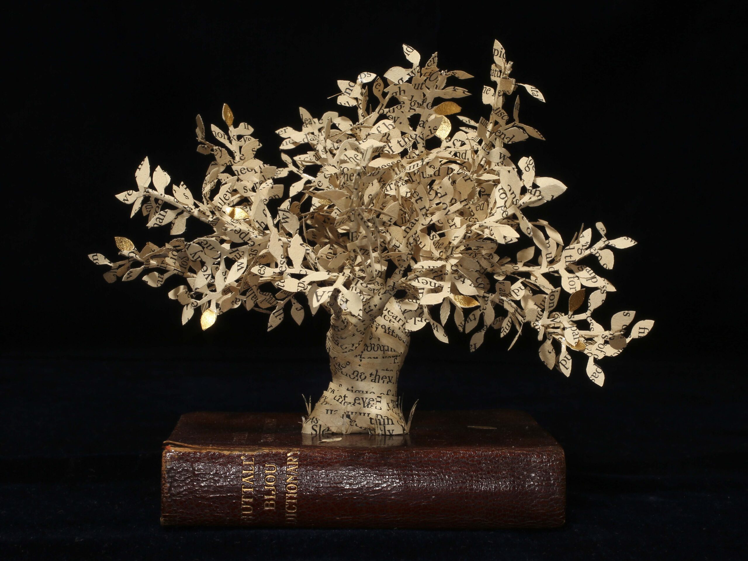 Picture of Emma Taylor