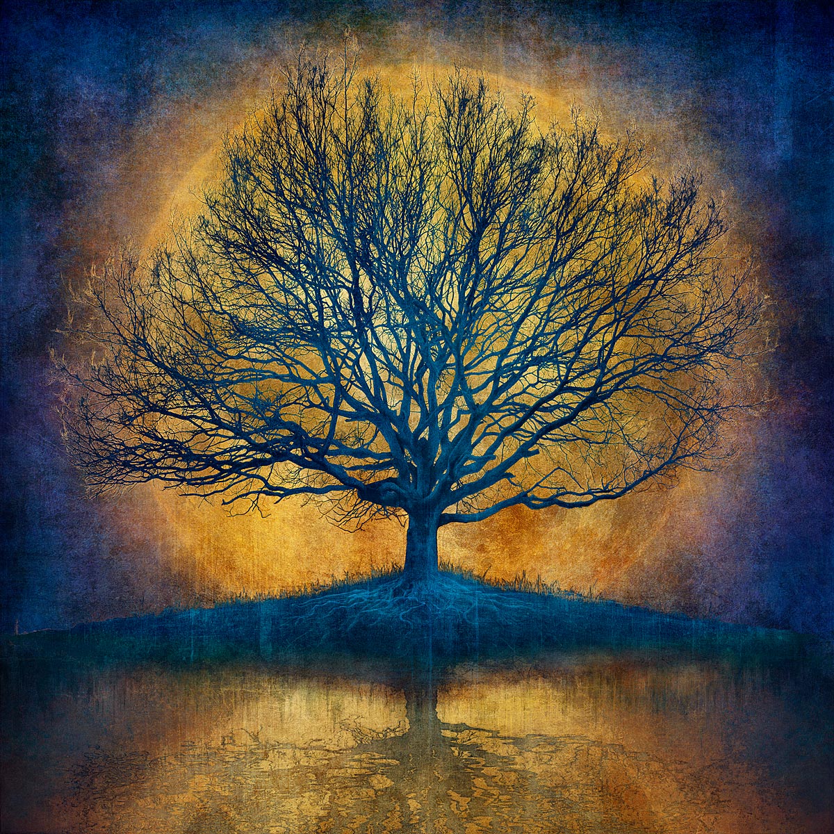 Picture of Mark Munroe-Preston