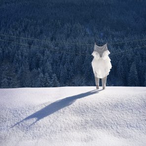wolf_hires